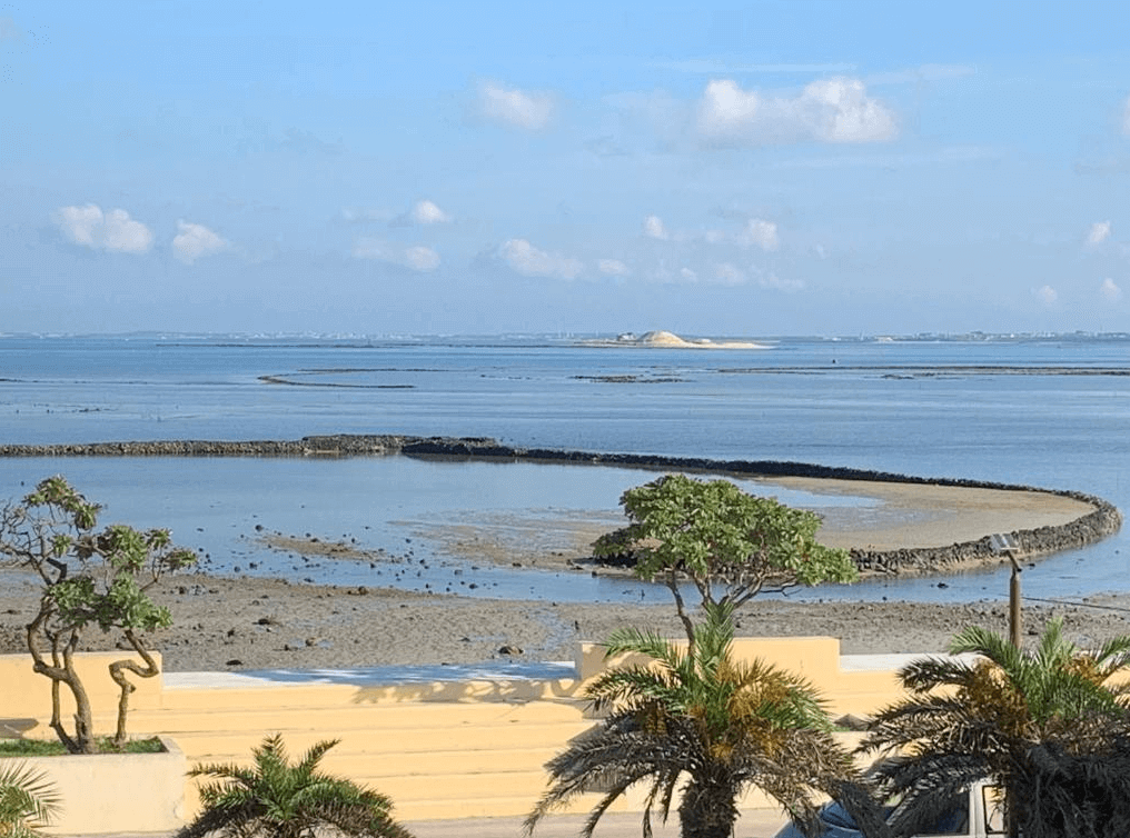 船長民宿的海邊的美麗景色,遠處是蔚藍的海水和清澈的天空,岸邊綠樹環繞,讓人感受到大自然的寧靜與美麗。