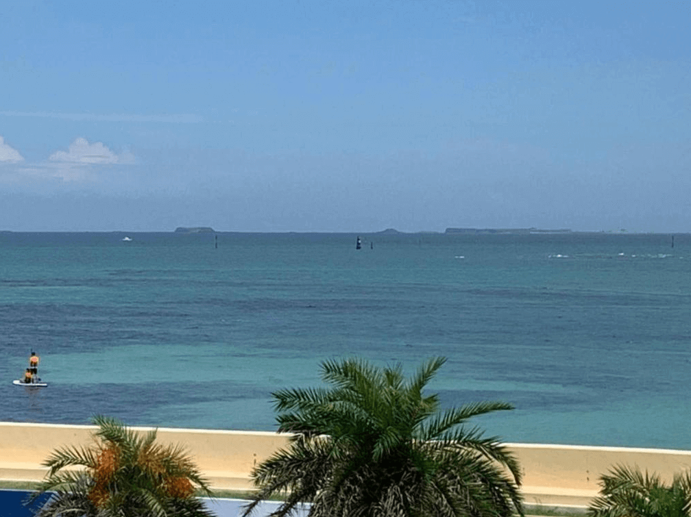 船長民宿的另一個海景景觀,展示了遼闊的海洋和遠處的島嶼。前景中的棕櫚樹增添了熱帶風情,讓人感到彷彿置身於度假天堂。