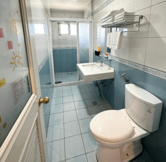 【阿里山住宿】紫龍星空民宿的浴室設計以藍白色為主色調，乾濕分離的淋浴區提供便利與舒適。牆面搭配簡約瓷磚設計，整潔的空間感滿足旅客的日常需求。