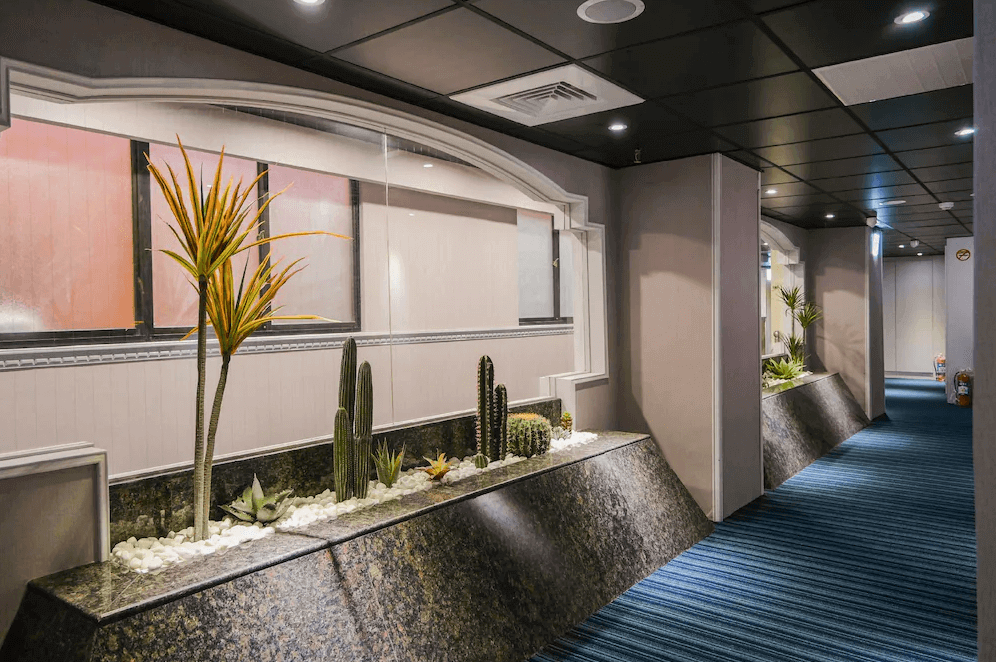 【三重住宿】柜富旅店走廊設計帶有異國風格，牆邊設有大型室內景觀植栽區，以仙人掌與多肉植物為主，搭配白色礫石與間接照明，讓走廊空間充滿綠意與設計感。