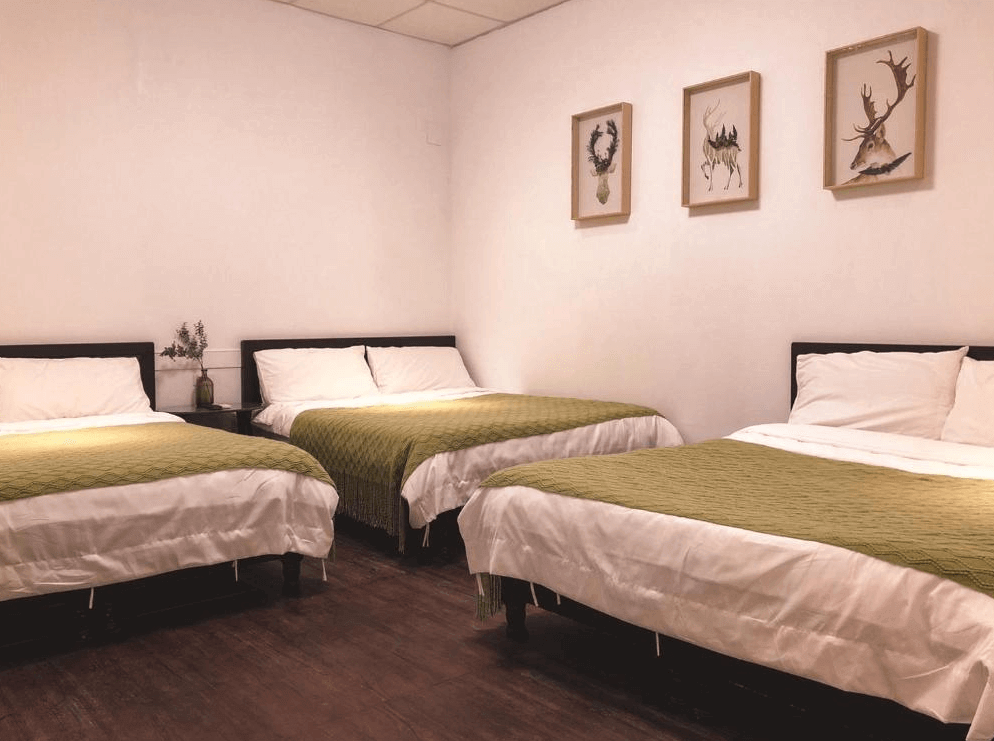 【綠島住宿】海島旅人的多人房型，風格簡約自然，牆面懸掛森林與動物主題插畫，綠色編織毯為房間增添清新感，適合家庭或團體入住。