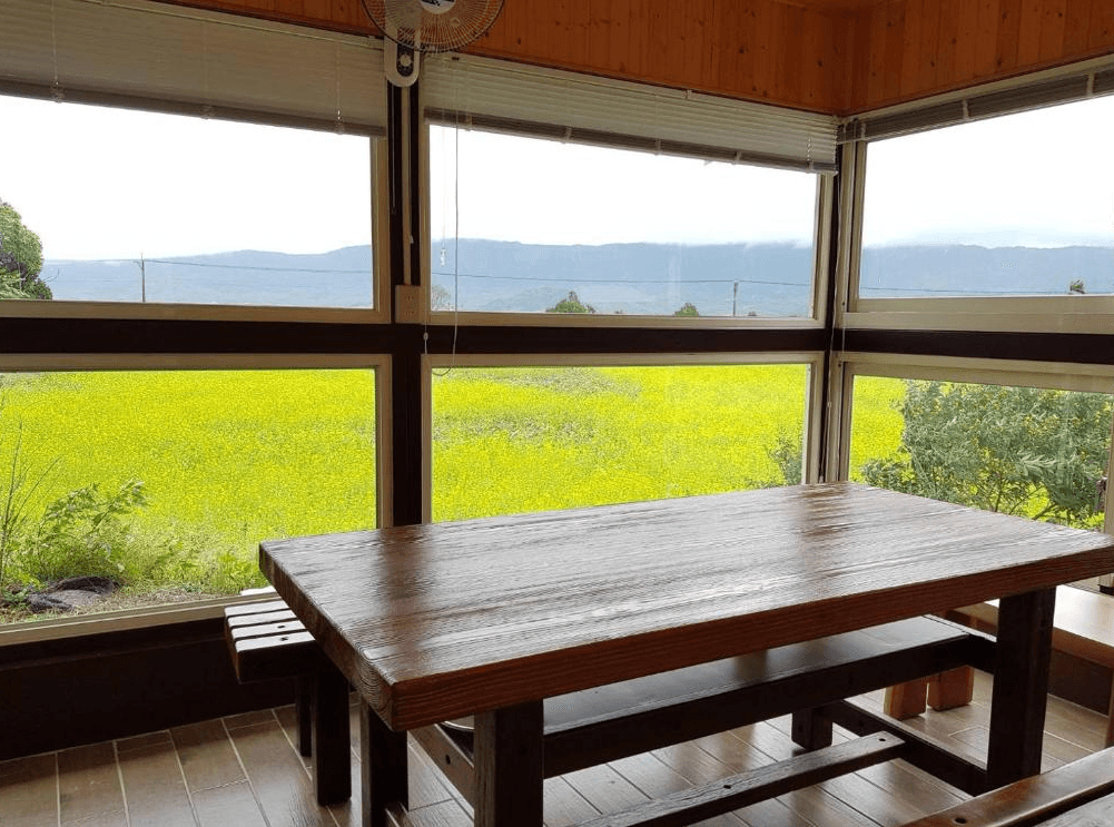 【關山住宿】春風小棧民宿附設的景觀餐廳，大片窗戶外可望見一片黃澄澄的油菜花田與遠方山景，室內設有木桌椅，享用餐點同時欣賞自然風光。