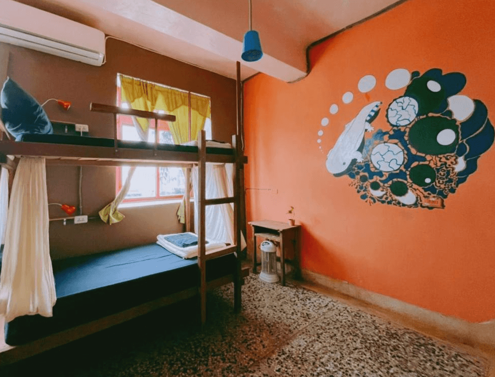 【東河住宿】晃輕鬆客棧咖啡館房間內部，設有上下舖床位，窗邊陽光充足，牆上以鮮豔橘色為底色，繪有抽象藝術圖案，整體風格明亮且富有藝術氣息。