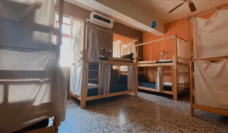 【東河住宿】晃輕鬆客棧咖啡館多人住宿空間，設有多組木質上下舖，床位配有遮光簾提供隱私，整個房間採光良好，呈現溫暖舒適的住宿氛圍。