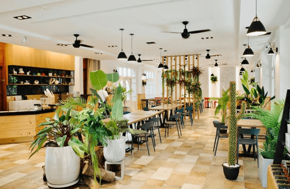 【玉井住宿】瓦樣山巷的用餐與公共空間，大量綠意植栽點綴空間，木質餐桌椅整齊排列，吊燈與黑色吊扇營造出清新自然的氛圍，開放式廚房設計使空間更加通透，適合團體聚餐與交流。