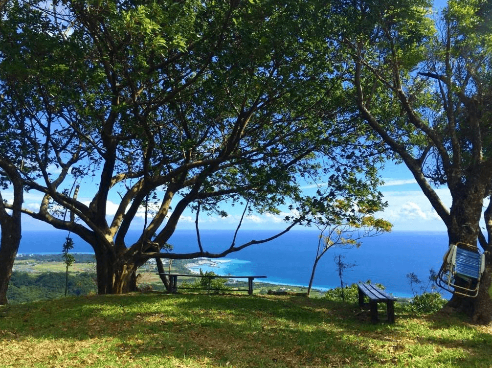 【長濱住宿】竹湖山居民宿山頂觀景點，兩側樹木成蔭，擺放木椅供旅客休憩，可遠眺壯麗太平洋與台東市海岸線，景緻如畫。