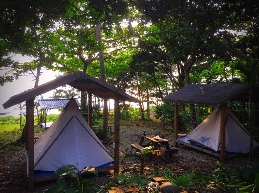 【蘭嶼住宿】吉米探險家露營地&潛水俱樂部戶外帳篷區：森林環繞的營地設有多頂白色帳篷與木造遮雨棚，中間配置木桌椅，適合露營休憩。