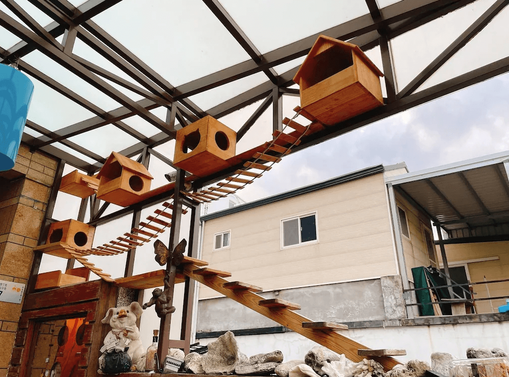 【墾丁寵物友善住宿】華納小筑戶外貓屋區 — 架高設計的木製貓屋與空中吊橋連接，設置於半戶外空間，周圍擺放裝飾品與石頭，提供貓咪活動空間。