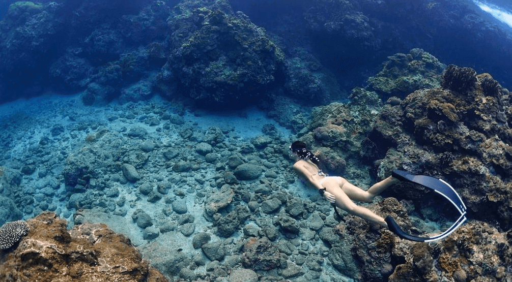 【蘭嶼住宿】那天 THat day Hostel 潛水體驗：旅客於清澈海域進行自由潛水，能見度高的水底世界有珊瑚與岩石，展現當地豐富海洋風光。
