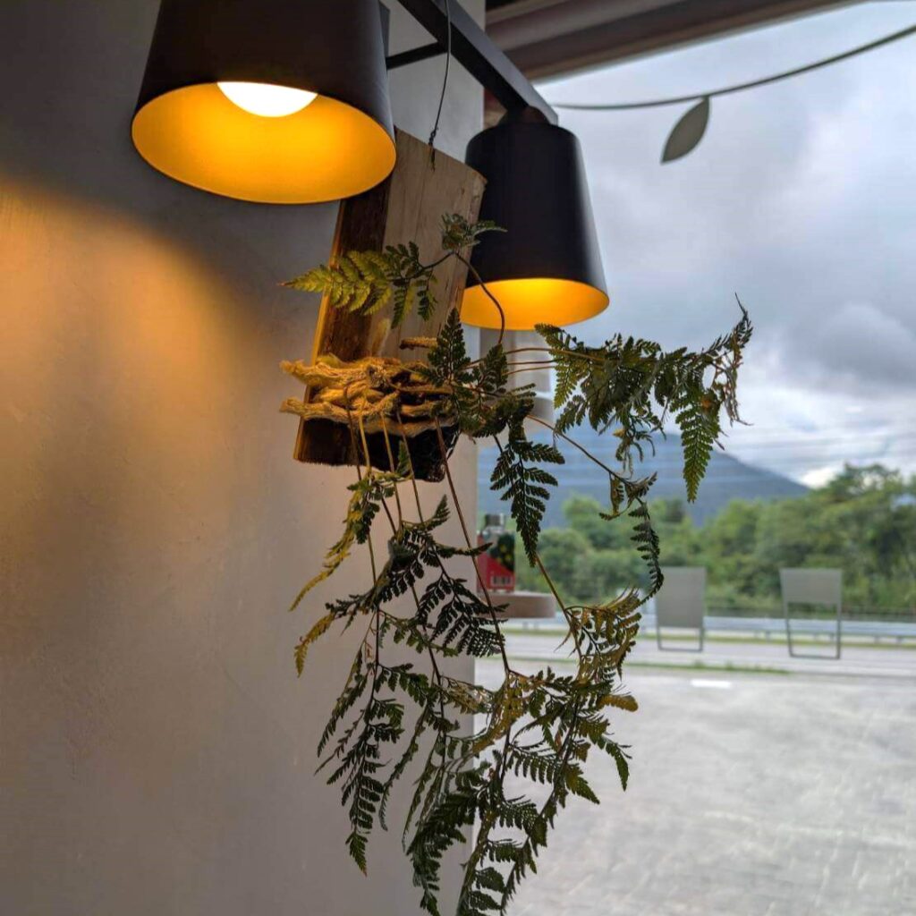 【瑞穗美食】「縱谷耘穗咖啡廳」窗邊的裝飾燈與綠色蕨類植物，燈光柔和溫暖，窗外可見山景與雲霧環繞的自然風光，展現悠閒寧靜的氛圍。