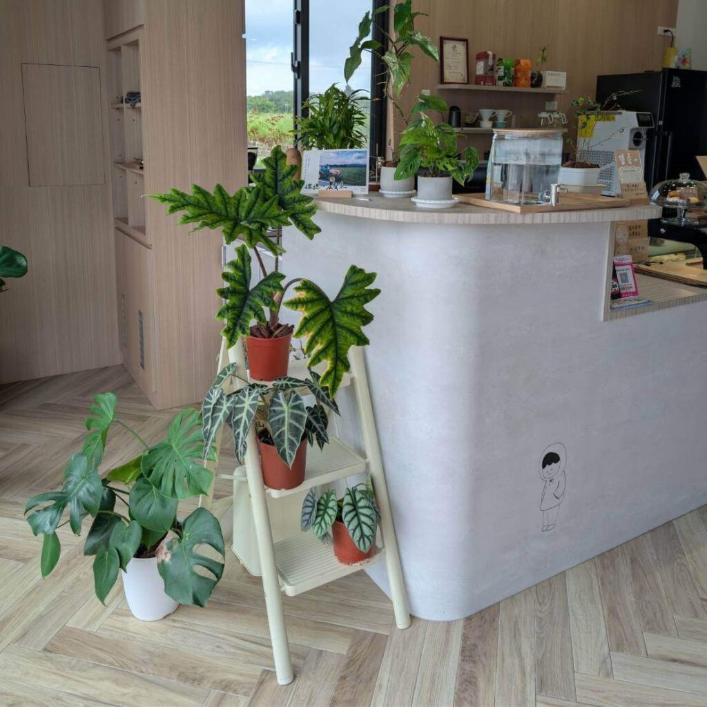 【瑞穗美食】「縱谷耘穗咖啡廳」的櫃檯一角，採用木質地板與淺色調設計，搭配綠色植栽與盆栽擺設，營造溫馨自然的氛圍。櫃台旁可見手繪人物圖案與明亮窗景，整體風格清新舒適。
