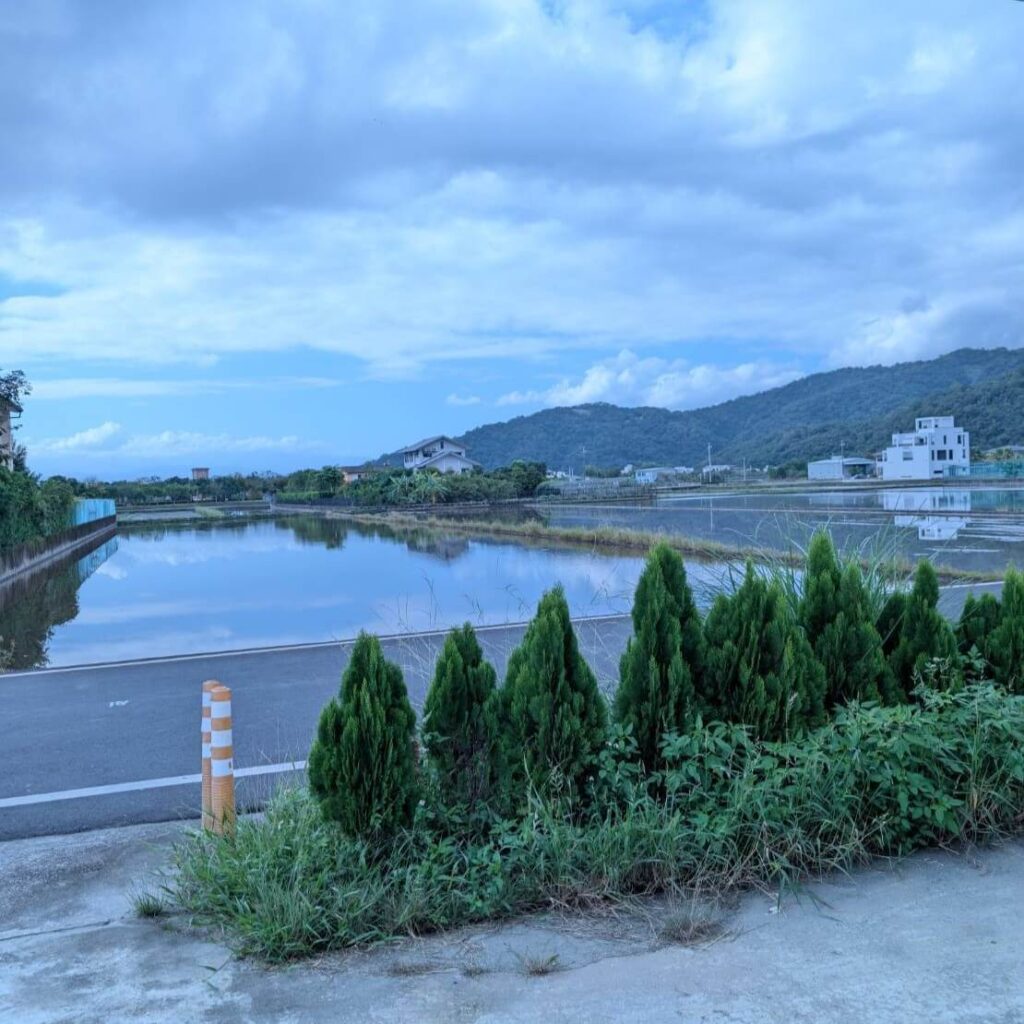 【山杉青旅】「山杉青旅外的田野景色，前方為整排翠綠灌木，小路另一側是水田倒映天空，遠方山巒層疊與零散白色建築映入眼簾，呈現旅宿周邊寧靜的鄉村風光。」