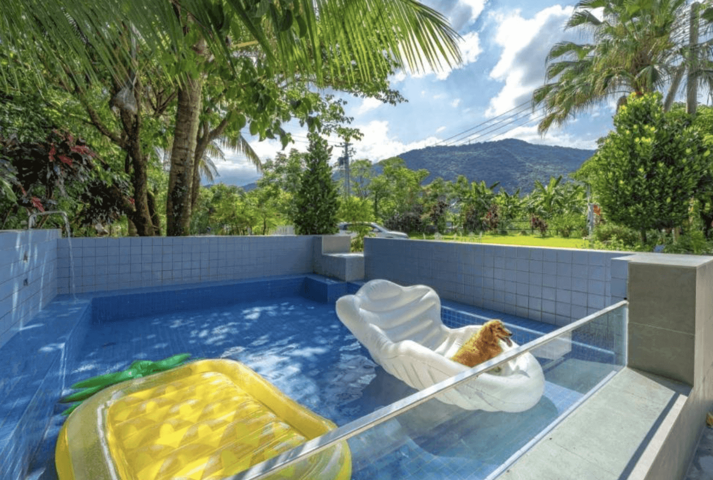 【東華大學民宿】「雲上太陽民宿」戶外戲水池區，藍色磁磚泳池搭配熱帶椰林與山景背景，放置有浮具與躺椅，是寵物與旅人休閒放鬆的愜意空間。
