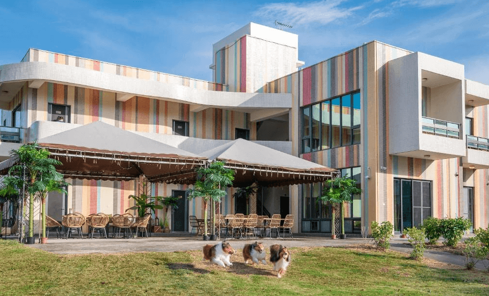【台東寵物友善住宿】彩虹莊園會館 (Rainbow Villa) 的外觀建築，最大特色是採用繽紛的彩色垂直條紋磁磚拼貼，前方擁有一大片寬闊平坦的草皮，畫面中可見牧羊犬盡情奔跑，並設有大型戶外遮陽棚，是著名的寵物友善樂園。