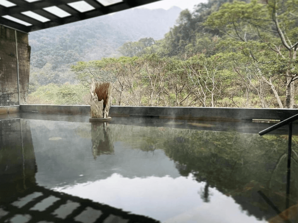 【苗栗寵物友善住宿】泰安觀止溫泉會館 (Onsen Papawaqa) 的戶外無邊際泳池與露天風呂區，池畔擺放著標誌性的漂流木藝術裝置，水面如鏡倒映著汶水溪谷與翠綠山巒，是苗栗泰安最知名的絕美打卡地標。