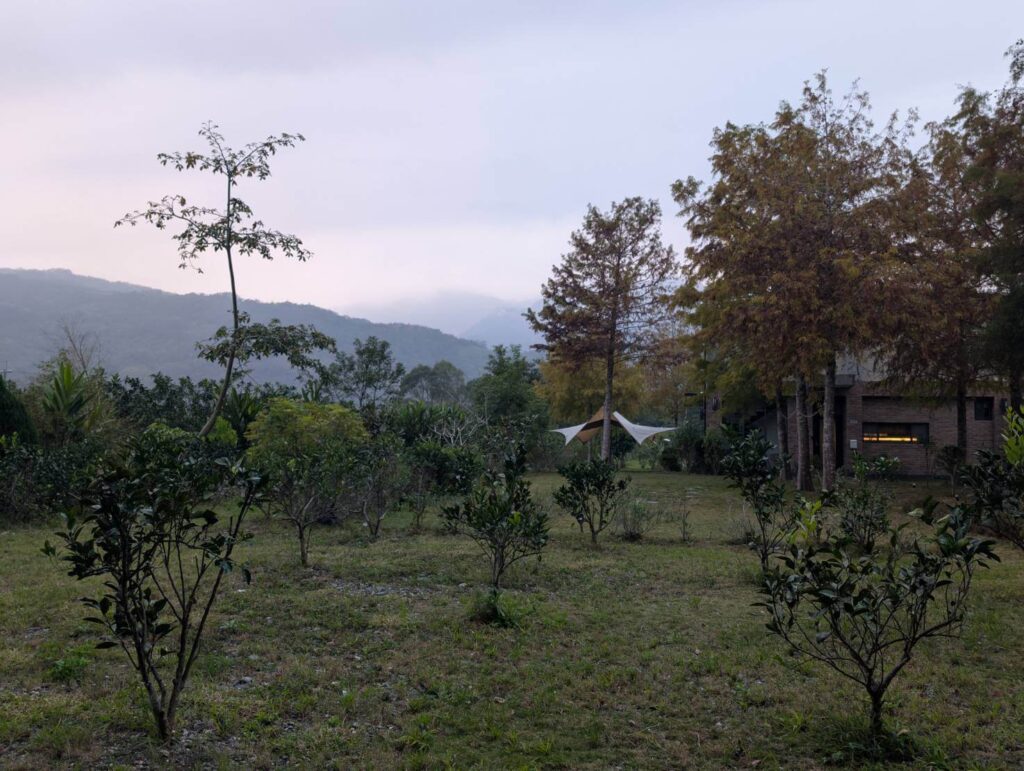 自然野奢田園全景：從果園視角眺望民宿建築，紅磚牆面隱約現於落羽松林後，前景種植排列整齊的小樹苗，遠方山巒雲霧繚繞，構成一幅和諧共生的農莊畫卷。