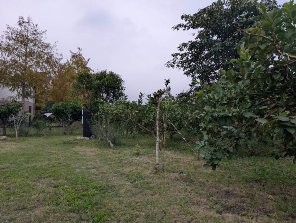 自然野奢寬闊草地與果園：視角開闊的戶外園區景觀，前方為平坦的綠草地與新植果樹，背景襯著連綿起伏的青山與陰天雲層，呈現遠離塵囂的寧靜鄉野風光。