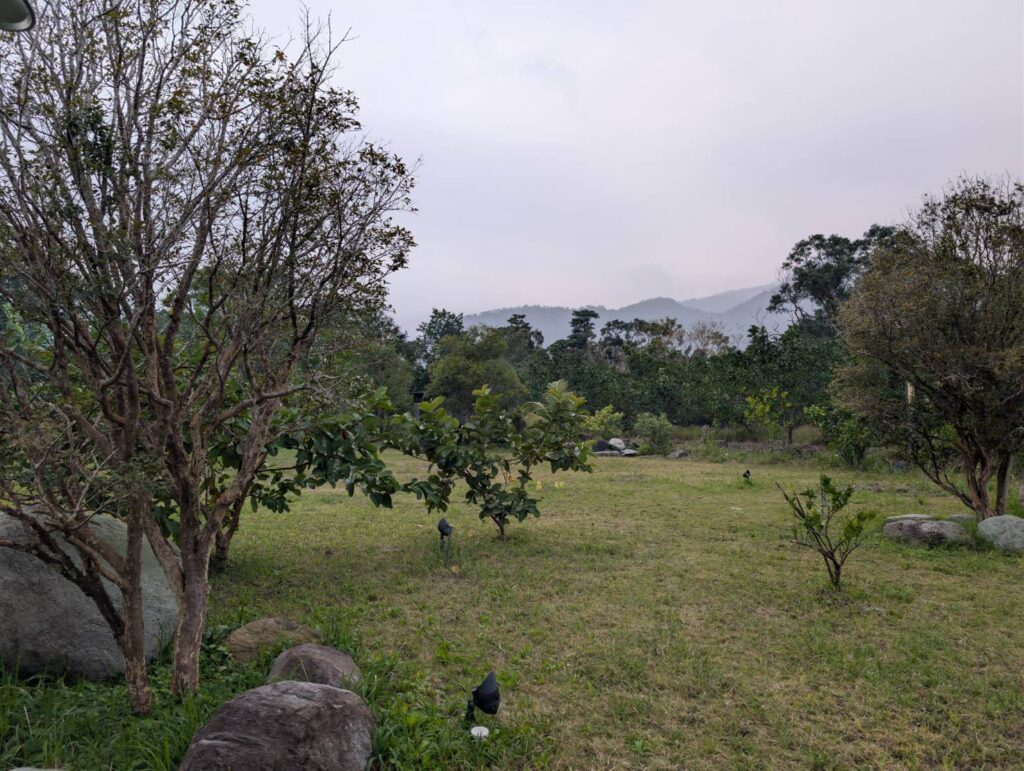自然野奢落羽松與果樹步道：漫步於園區小徑，左側為高聳變色的落羽松林，右側種植茂盛的芭樂樹與各式植栽，綠意與秋色交織出層次豐富的自然景觀。