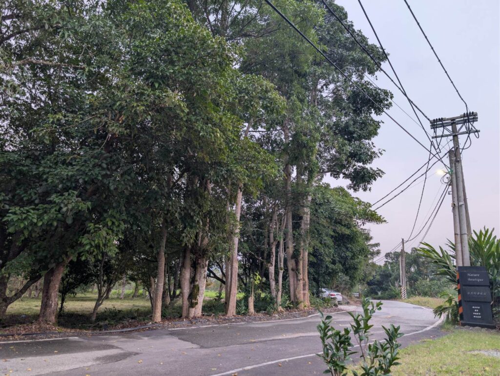自然野奢騎腳踏車戶外環境：民宿入口處的靜謐林蔭道路，路面平坦寬敞適合騎乘腳踏車漫遊，路旁設有質感的黑色招牌，周圍綠樹成蔭，營造出悠閒慢活的度假氛圍。