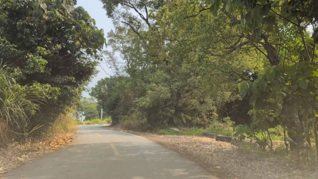 前往w星空villa的鄉間小道，環境非常隱密且寧靜，很適合度假