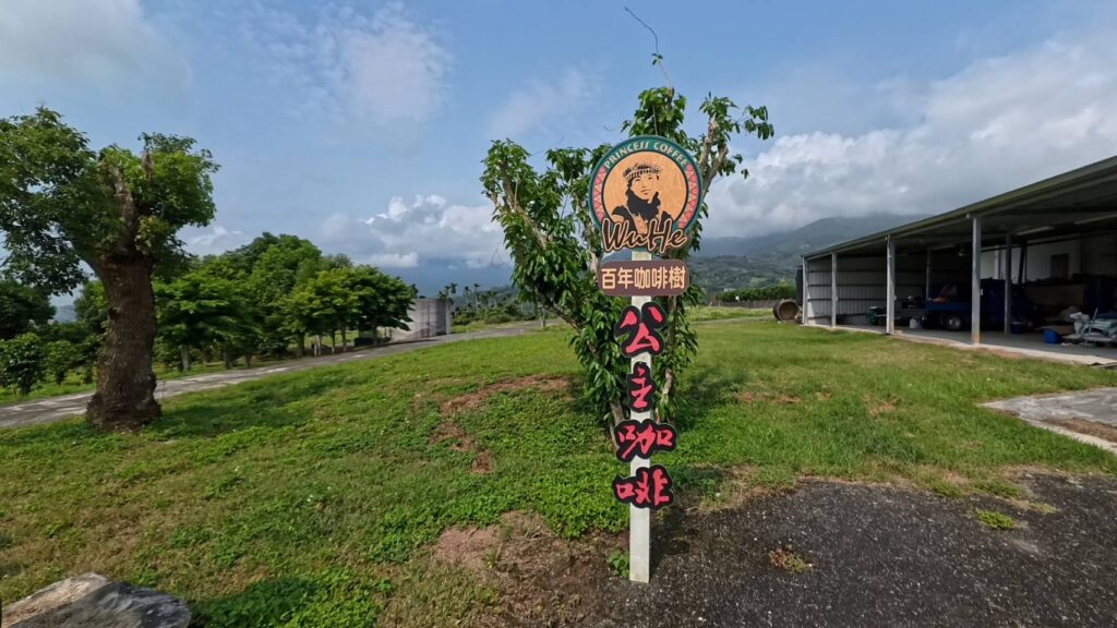 公主咖啡園區有許多咖啡樹，探訪景點很有趣