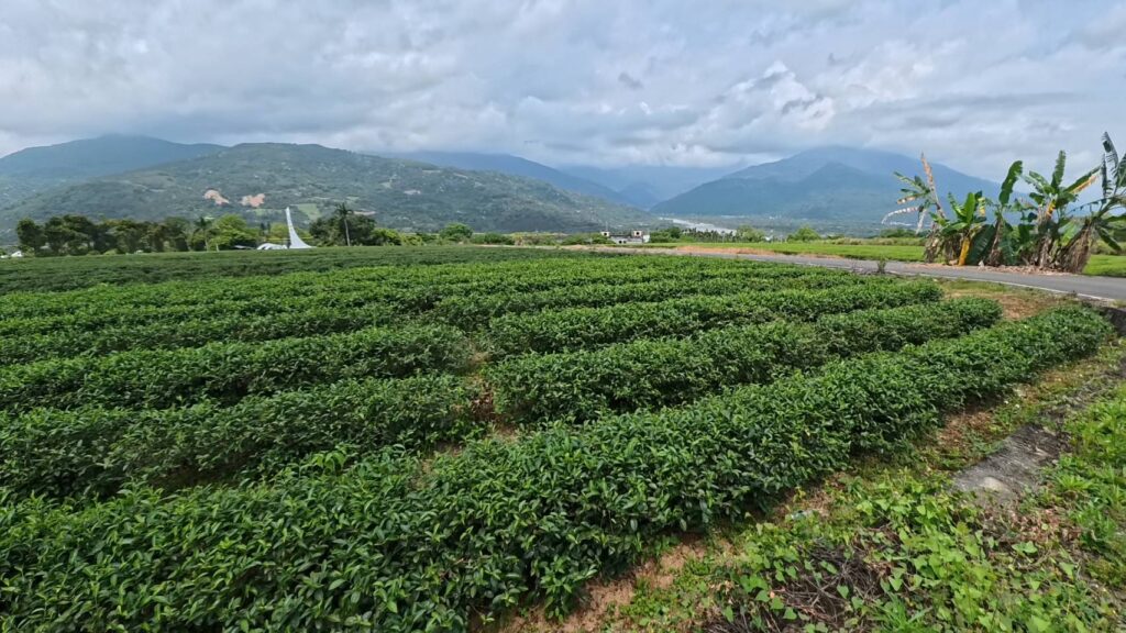 微笑的狗附近景點推薦，舞鶴山風景