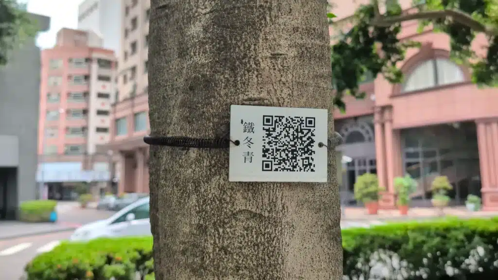 樹皮紋理分明的樹幹特寫，以彈簧環固定著一面白色植物解說牌，牌上標註「鐵冬青」名稱並附有供遊客手機掃描獲取資訊的 QR Code