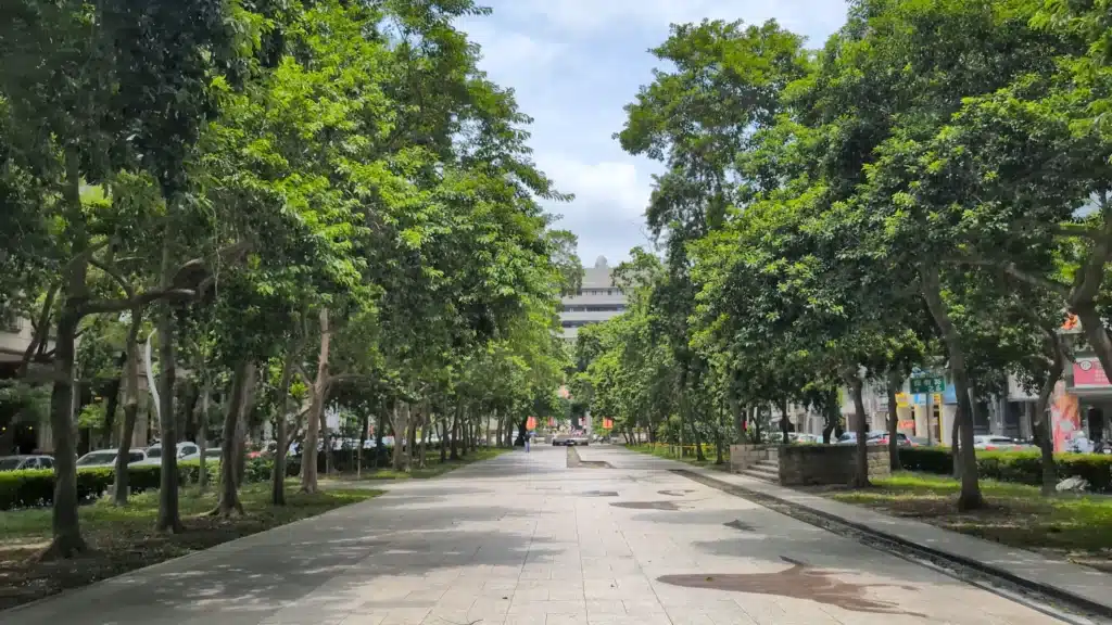草悟道主步道視角，兩側整齊排列著高大的綠色樹木，延伸至遠方的科博館建築，地面飾有動物剪影拼貼，視野開闊清幽