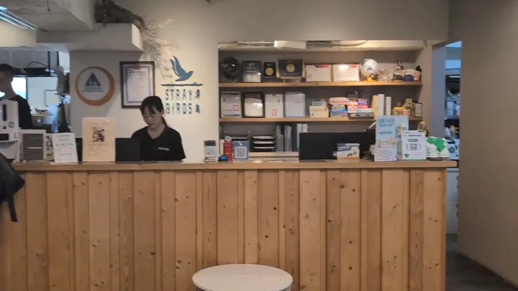 草悟道漂鳥青年旅館（STRAY BIRDS）接待櫃台，採用原木質感長型吧檯設計，後方牆面飾有青鳥圖案與標誌，木質層架上整齊陳列獎狀、證書與各式擺設，一名身穿黑衣的女櫃台人員正低頭處理事務。